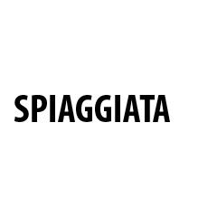 BEPPEROKKO_titolo-spiaggiata