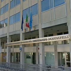 FOTO-camera-commercio-udine-2