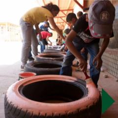 Ibstem_240x240_F