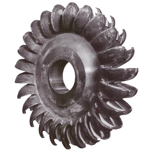 Risorsa_62_480x480